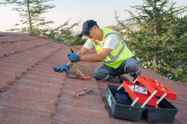 Professional Roofing Contractor in Harpersville, AL